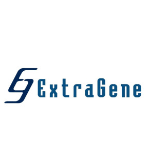 Strategic Partner 4
