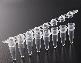 EX-P-02X8-C 0.2ml PCR 8-Strip Tubes with Domed Cap (Pack), Clear
