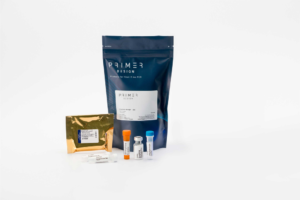 PD-African Swine Fever Genesig Real-time PCR Kit (Research use only)