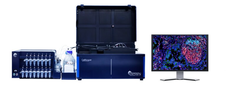 CellScape XR