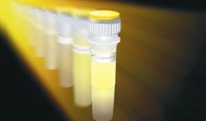 SG-KK5802 KAPA2G Fast Multiplex Mix (2X), 1.25 ml (500 reactions)