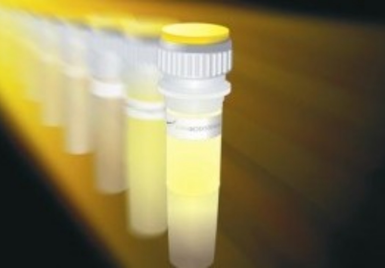PCR Reagent