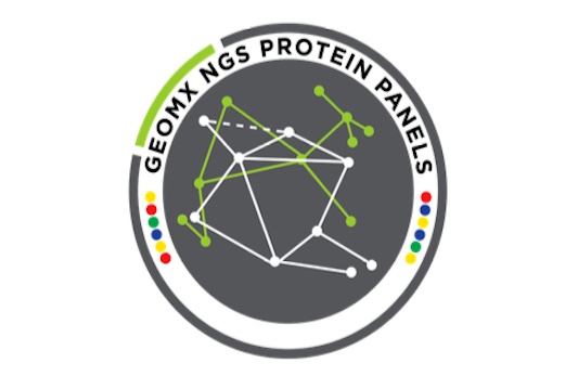 Exploring Spatial Transcriptomics