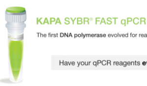 SG-KK4600 KAPA SYBR® FAST qPCR Master Mix (2X) Universal (1 ml; 100 x 20 µl reactions)