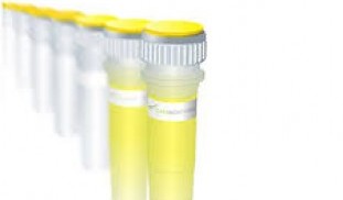 SG-KK5608 KAPA2G Fast HotStart ReadyMix with dye (2X), 1.25 ml (100 reactions)