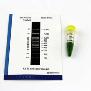 MWD100 FastGene® 100 bp DNA Marker (50 µg / 500 µl)