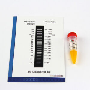 MWD50 FastGene® 50 bp DNA Marker (50 µg / 500 µl)