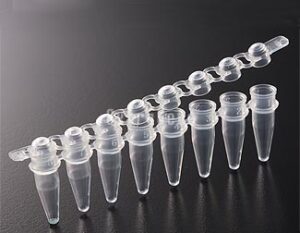 EX-P-02X8-C 0.2ml PCR 8-Strip Tubes with Domed Cap (Case), Clear