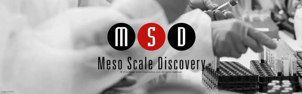 banner-msd