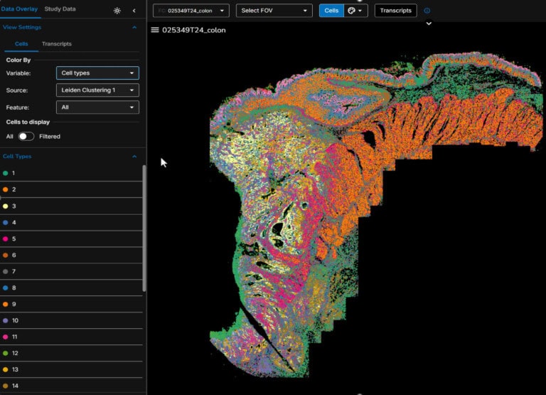 Exploring Spatial Transcriptomics