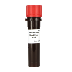 MG06 Midori Green Direct (1 ml)